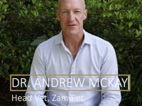 In this video, ZamiPet's Head Vet, Dr Andrew McKay, explains the many benefits of using probiotics for your dog's gut health and microbiome.