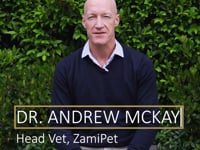 In this video, ZamiPet's Head Vet, Dr Andrew McKay, explains how you can spot early signs of dental disease in your dog.