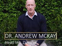 In this video, ZamiPet's Head Vet, Dr Andrew McKay, explains the steps you can take to prevent dental disease in your dog.