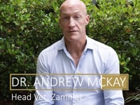 In this video, ZamiPet Head Vet Dr Andrew McKay explains the benefits for gut health of using probiotics, if your dog is undergoing treatment with antibiotics
