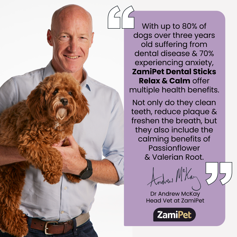 Text: "With up to 80% of dogs over three years old suffering from dental disease & 70% experiencing anxiety, ZamiPet Dental Sticks Relax & Calm offer multiple health benefits. Not only do they clean teeth, reduce plaque & freshen the breath, but they also include the calming benefits of Passionflower & Valerian Root." Dr Andrew McKay, Head Vet at ZamiPet. Image: Dr Andrew McKay holding a cavoodle dog. 