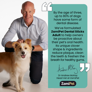 Text: "By the age of three, up to 80% of dogs have some form of dental disease. We’ve formulated ZamiPet Dental Sticks Adult to help owners be proactive about their pet’s oral health. Its unique clover shape & ingredients reduce plaque, clean the teeth & freshen the breath for healthy gums. Image: Dr Andrew McKay, Head Vet at ZamiPet. Image: Dr Andrew McKay kneeling next to a Border Collie dog. 