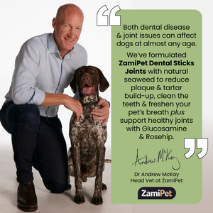 Text: "Both dental disease & joint issues can affect dogs at almost any age. We’ve formulated ZamiPet Dental Sticks Joints with natural seaweed to reduce plaque & tartar build-up, clean the teeth & freshen your pet’s breath plus support healthy joints with Glucosamine & Rosehip." Image: Dr Andrew McKay, Head Vet at ZamiPet. Image: Dr Andrew McKay standing next to a German Pointer dog. 
