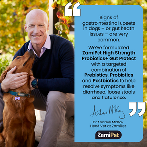 Image: Dr Andrew McKay (Head Vet at ZamiPet) cuddling a Labrador Retriever dog. Text: “Signs of gastrointestinal upsets in dogs – or gut heath issues – are very common. We’ve formulated ZamiPet High Strength Probiotics+ Gut Protect with a targeted combination of Prebiotics, Probiotics and Postbiotics to help resolve symptoms like diarrhoea, loose stools and flatulence."