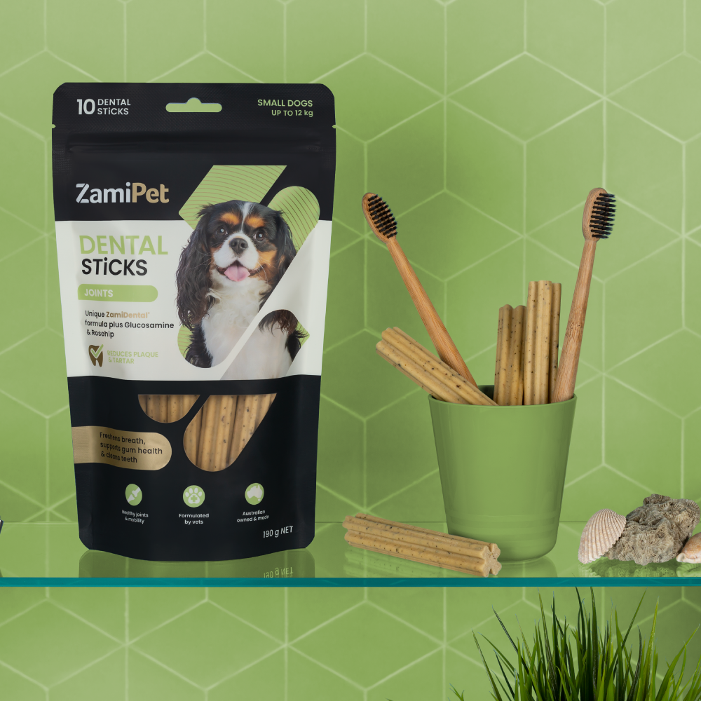 Styled image of ZamiPet Dental Sticks Joints (for small dogs) in front of a green tiled wall. Product is sitting on a glass shelf, next to a green container holding ZamiPet Dental Sticks and toothbrushes.