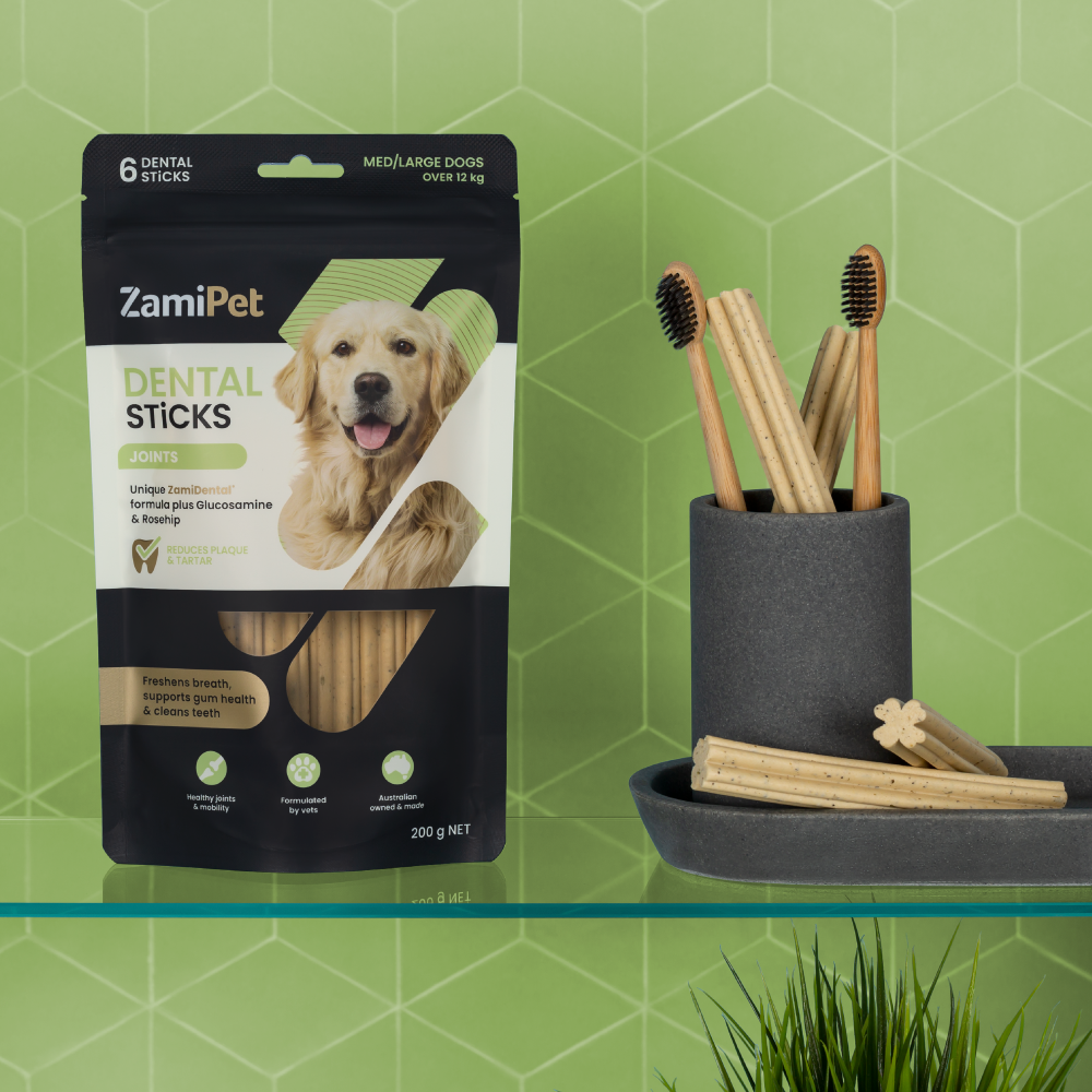 Styled image of ZamiPet Dental Sticks Joints (for medium to large dogs) in front of a green tiled wall. Product is sitting on a glass shelf, next to a dark grey container holding ZamiPet Dental Sticks and toothbrushes.