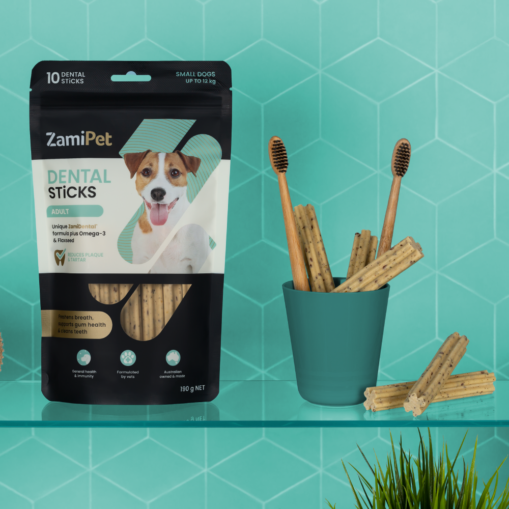 Styled image of ZamiPet Dental Sticks Adult (for small dogs) in front of an aqua green tiled wall. Product is sitting on a glass shelf, next to a dark green container holding ZamiPet Dental Sticks and toothbrushes.