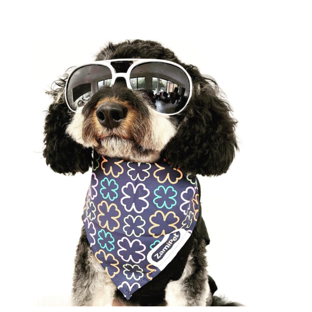 Dog with deals bandana on head