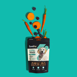 A front view of a pack of ZamiPet HappiTreats Puppy with fresh bluberries, baby carrot and slices of sweet potato coming out of the top of the pack (key ingredients in the product), over an aqua blue background