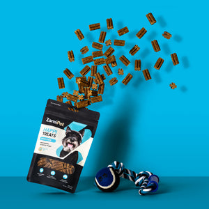 A pouch of ZamiPet HappiTreats Digestion with treats exploding out the top in an arc. The background is light blue and the pouch is sitting next to a small blue, white and black rope & tennis ball toy for dogs