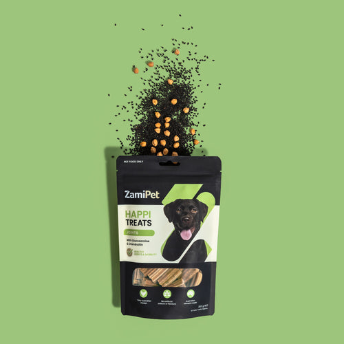 A front view of a pack of ZamiPet HappiTreats Joints with black sesame seeds and chickpeas coming out of the top of the pack (key ingredients in the product), over a light green background
