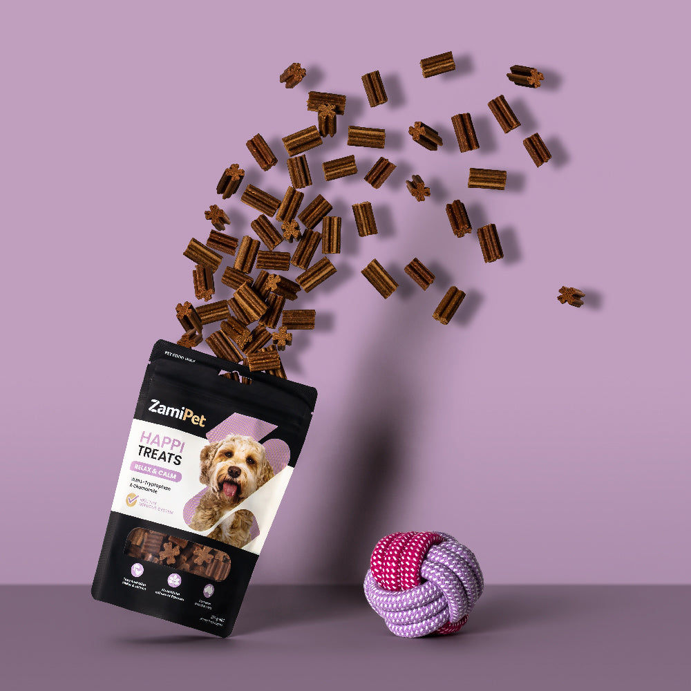 A pouch of ZamiPet HappiTreats Relax & Calm with treats exploding out the top in an arc. The background is light purple and the pouch is sitting next to a pink and purple rope toy for dogs