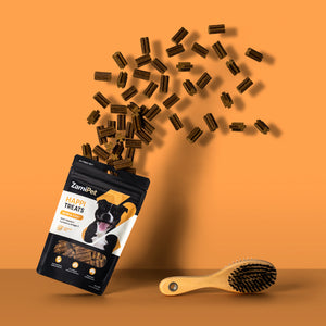 A pouch of ZamiPet HappiTreats Skin & Coat treats exploding out the top in an arc. The background is orange and the pouch is sitting next to a wooden brush for dogs