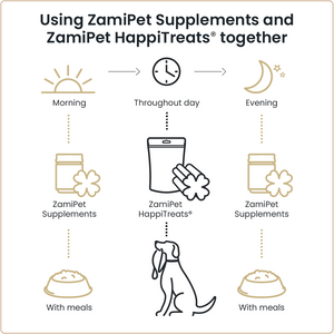 Diagram explaining how ot use ZamiPet Supplements and ZamiPet HappiTreats® together. Feed supplements in mornings or evening with main meals, and HappiTreats® throughout the day. 