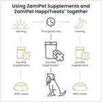 Load image into Gallery viewer, Diagram explaining how ot use ZamiPet Supplements and ZamiPet HappiTreats® together. Feed supplements in mornings or evening with main meals, and HappiTreats® throughout the day. 
