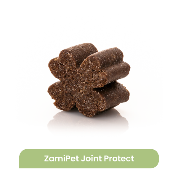 Image of a clover-shaped ZamiPet Joint Protect chew